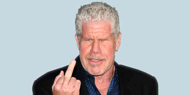 Ron Perlman Height, Age, Net Worth, Affair, Career, and More