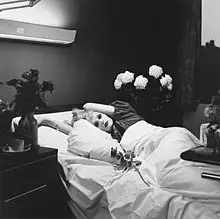 Candy Darling Biography