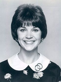 Cindy Williams Age, Net Worth, Height, Affair, and More