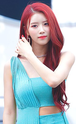 Mijoo Net Worth, Height, Age, and More
