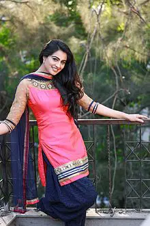 Neha Hinge Age, Net Worth, Height, Affair, and More