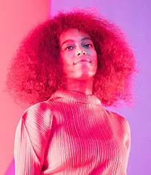 Solange Knowles Height, Age, Net Worth, More