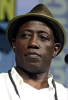 Wesley Snipes Age, Net Worth, Height, Affair, and More